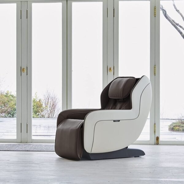 Circ+ (gray) – Zero Gravity Sl Track Heated Massage Chair