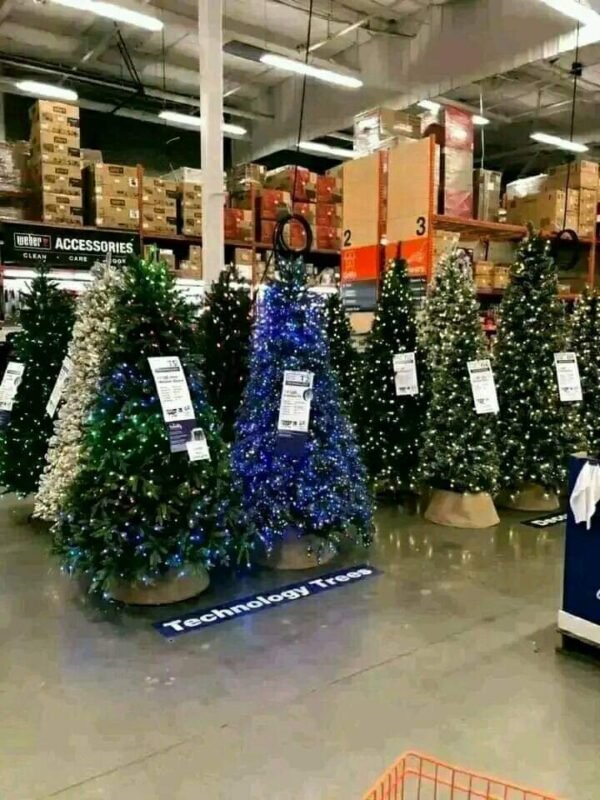 Christmas Tree Pallets Available Now!