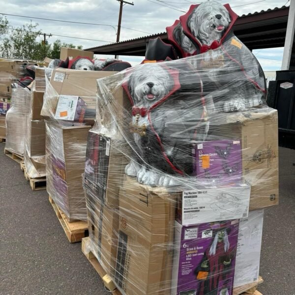 Wholesale Halloween Closeout Pallets - Image 2