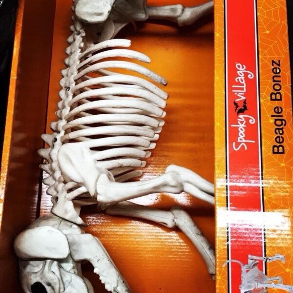 Wholesale Halloween Closeout Pallets - Image 7